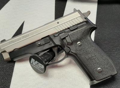 SIG P229